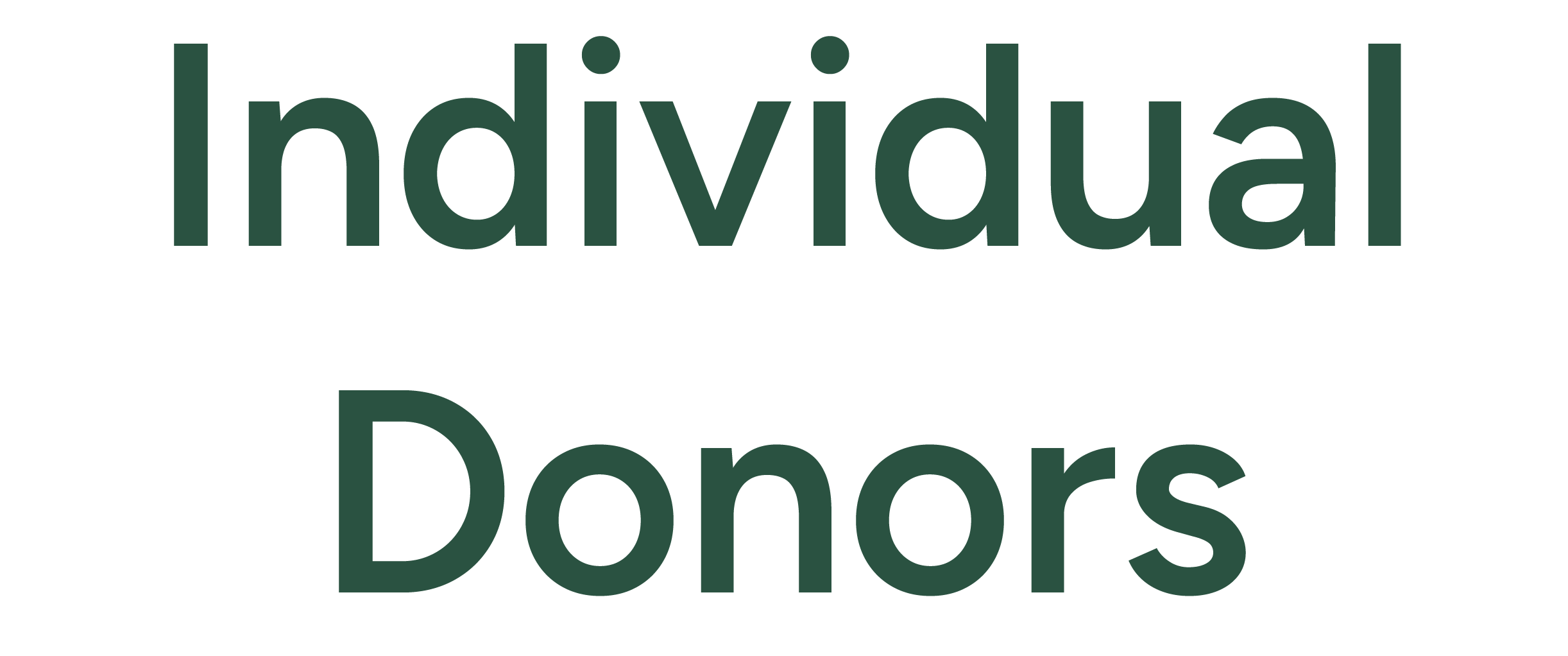 Individual Donors